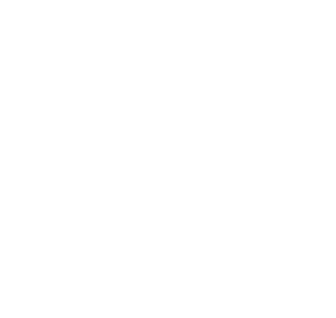 object